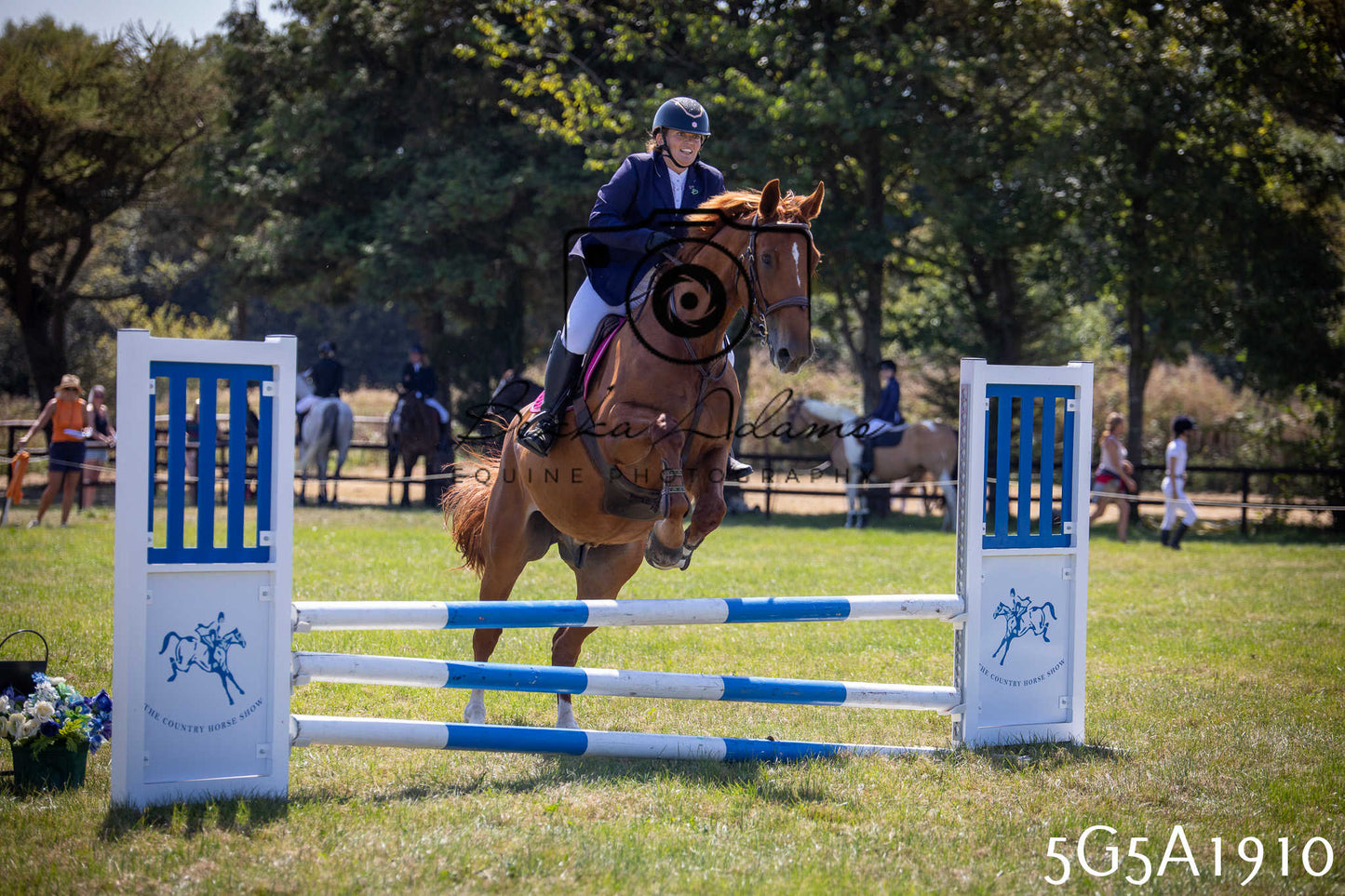 St Lawrence Charity Horse Show - Sunday pt2