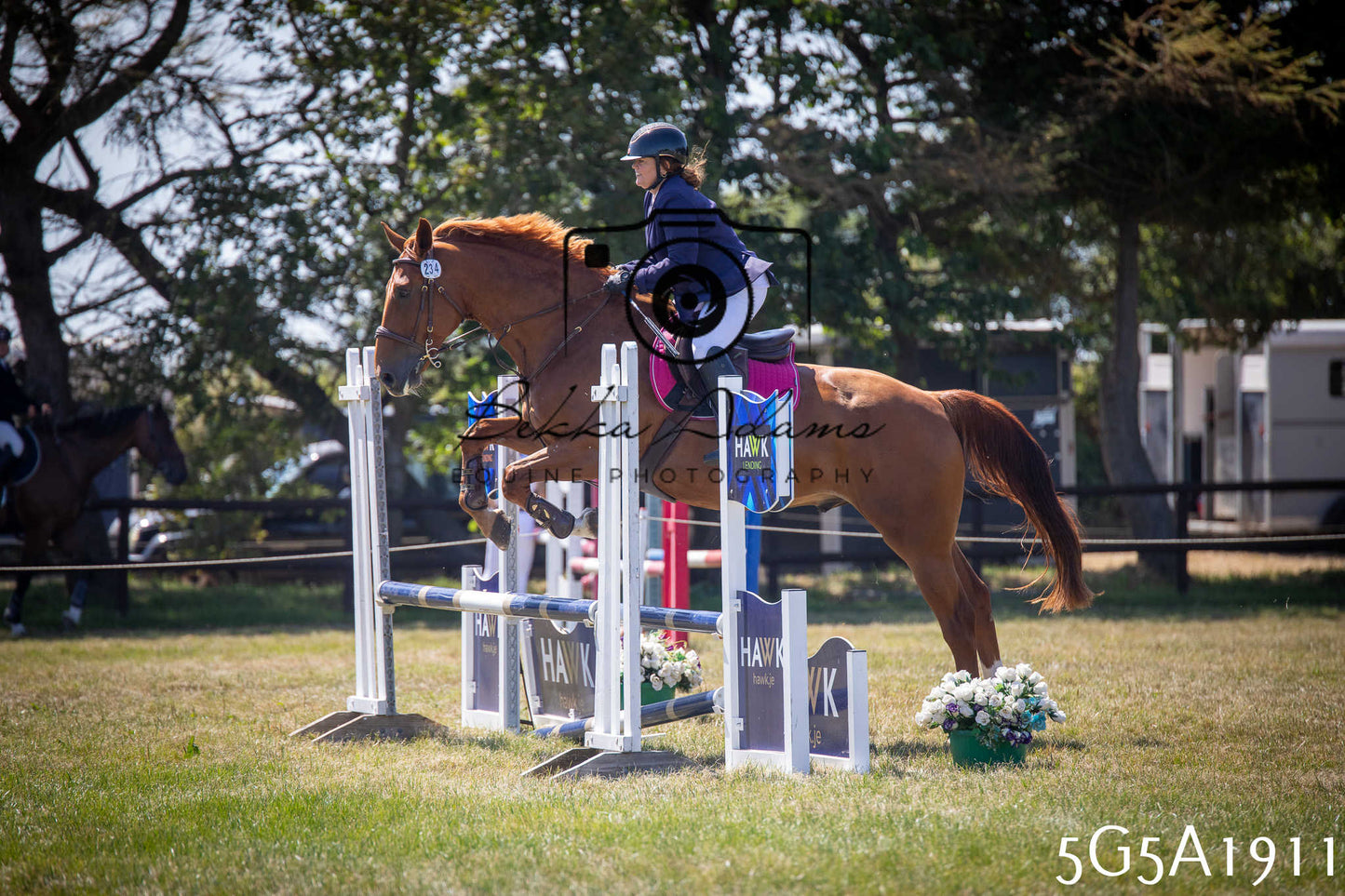 St Lawrence Charity Horse Show - Sunday pt2