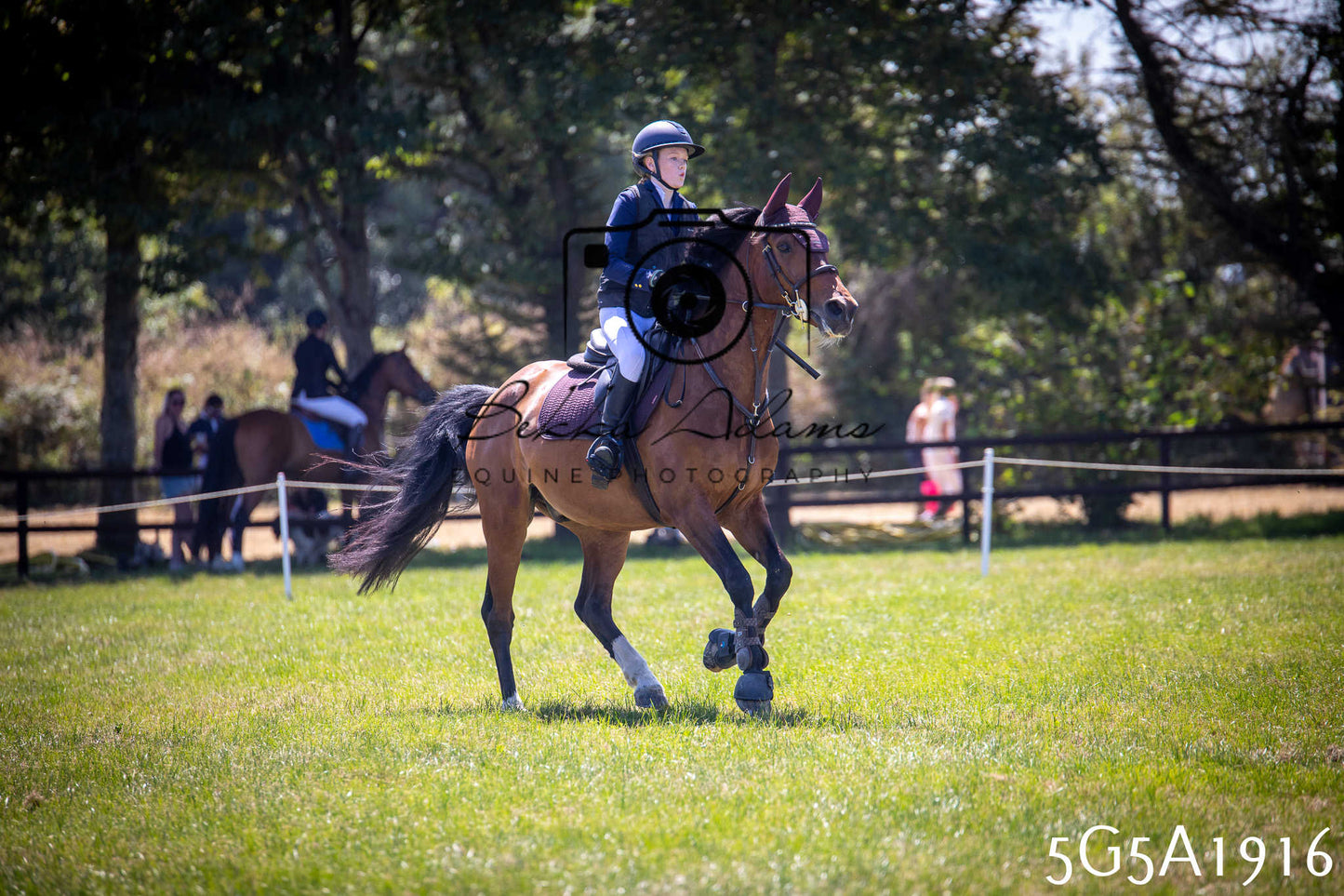 St Lawrence Charity Horse Show - Sunday pt2