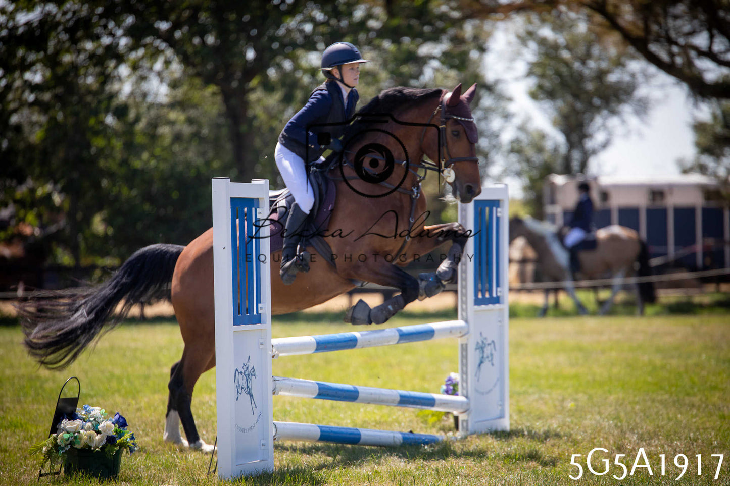 St Lawrence Charity Horse Show - Sunday pt2