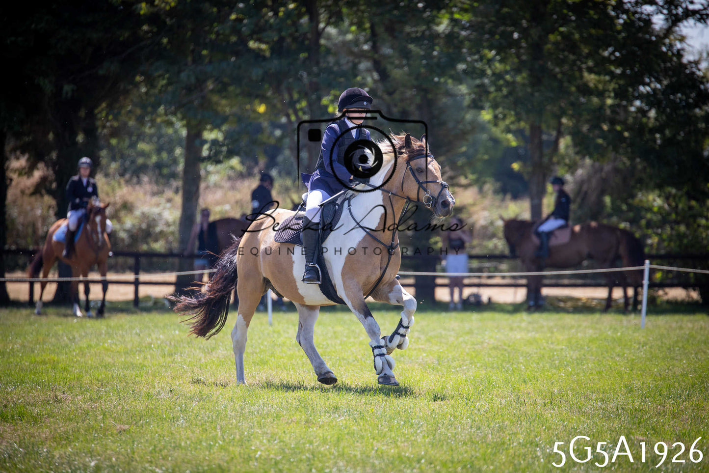 St Lawrence Charity Horse Show - Sunday pt2