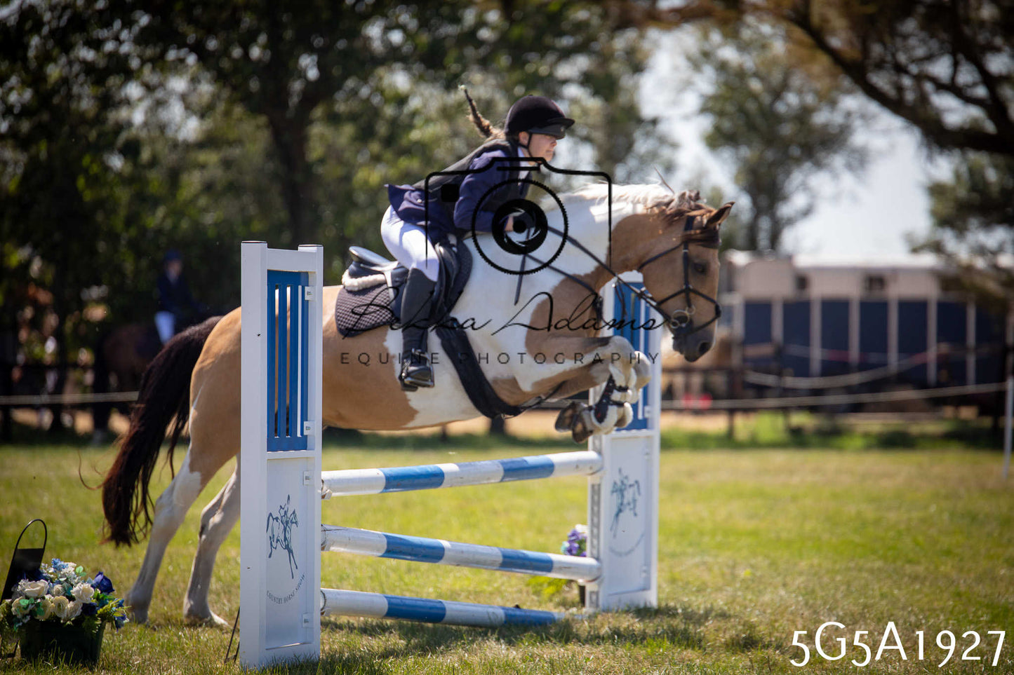 St Lawrence Charity Horse Show - Sunday pt2