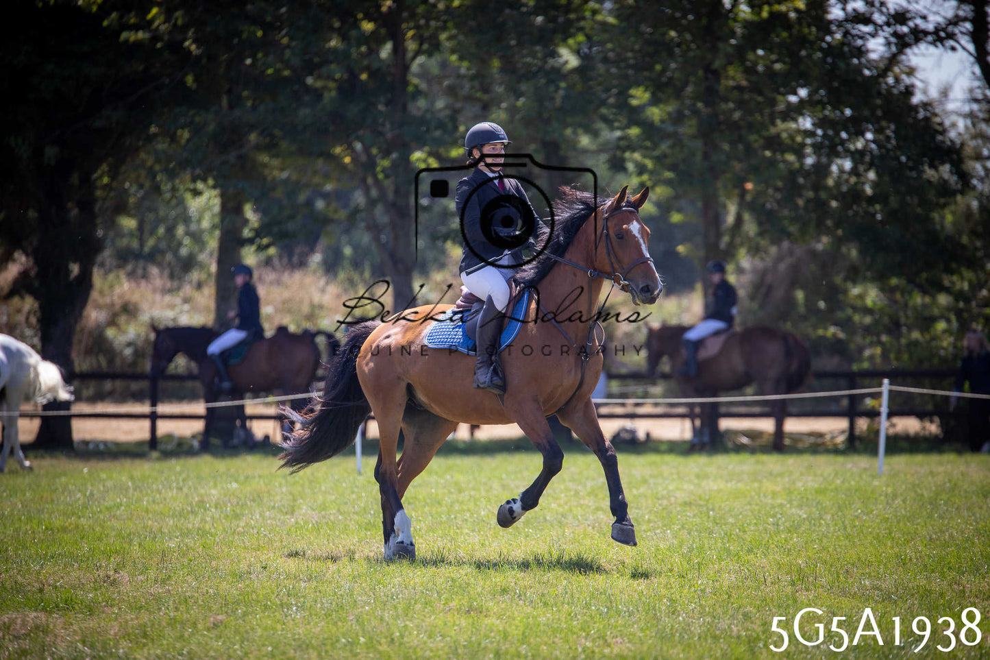 St Lawrence Charity Horse Show - Sunday pt2