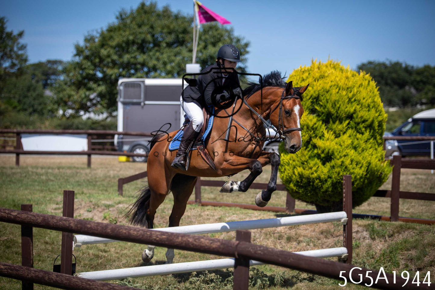 St Lawrence Charity Horse Show - Sunday pt2
