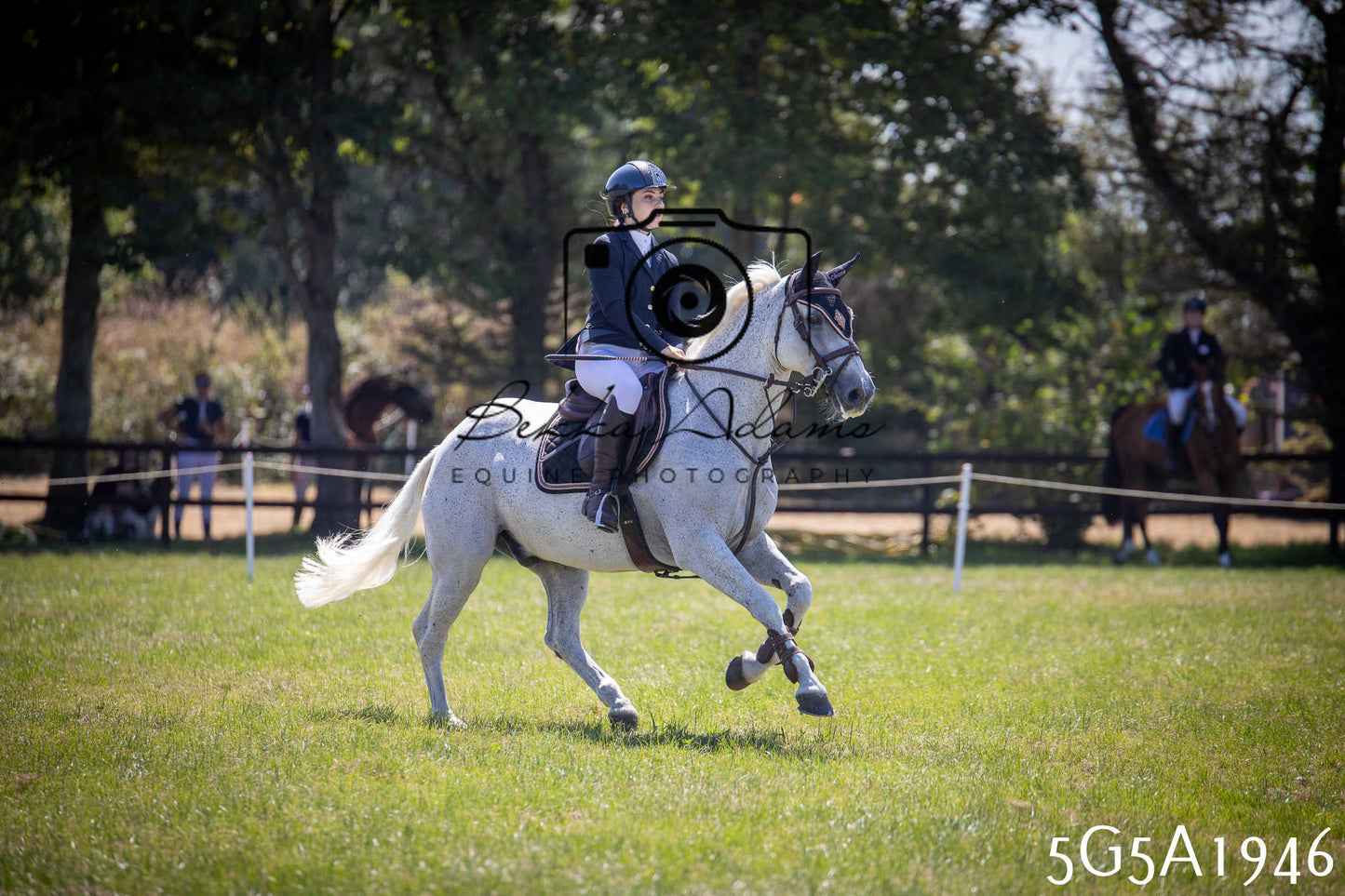St Lawrence Charity Horse Show - Sunday pt2