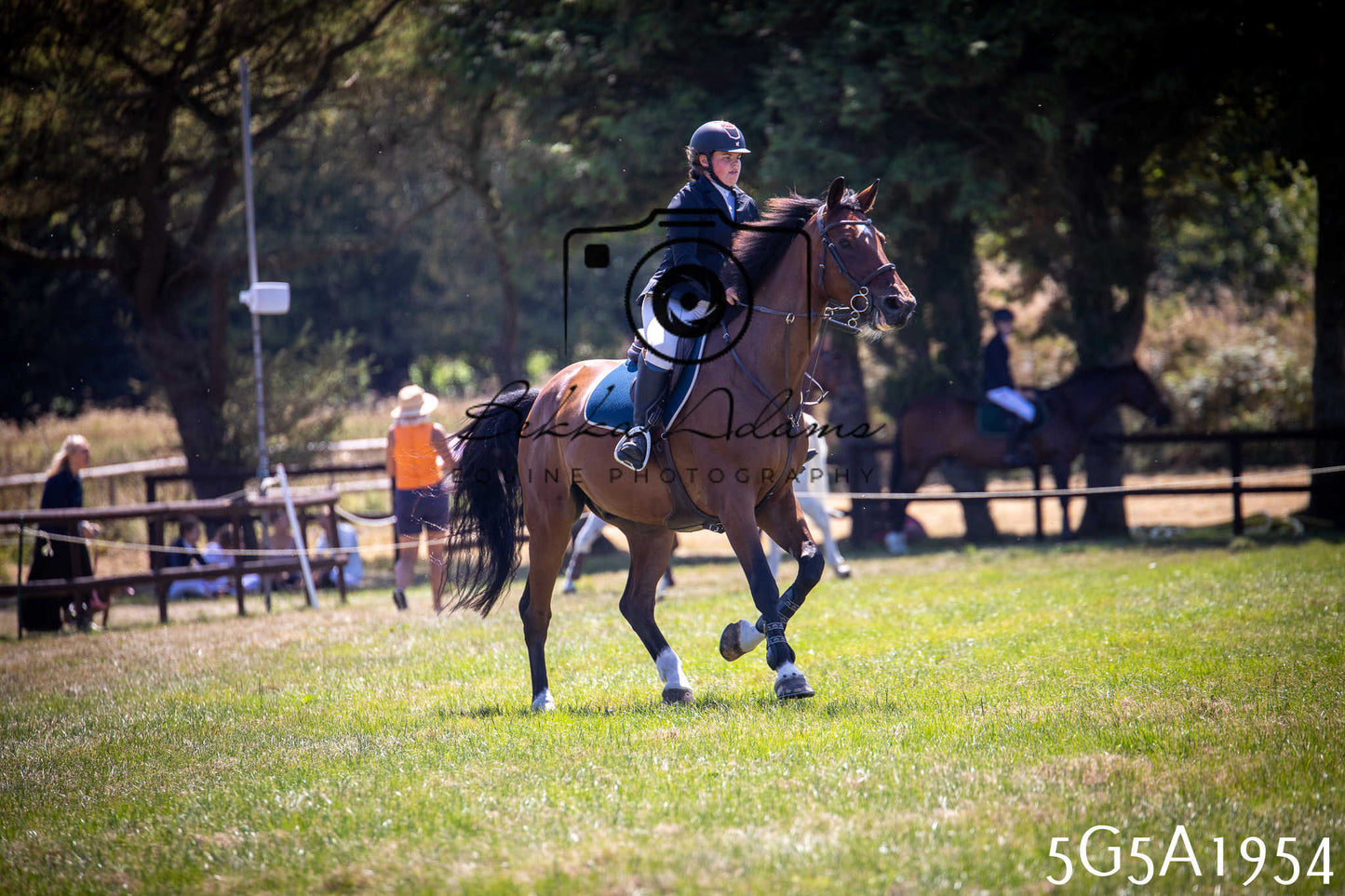 St Lawrence Charity Horse Show - Sunday pt2