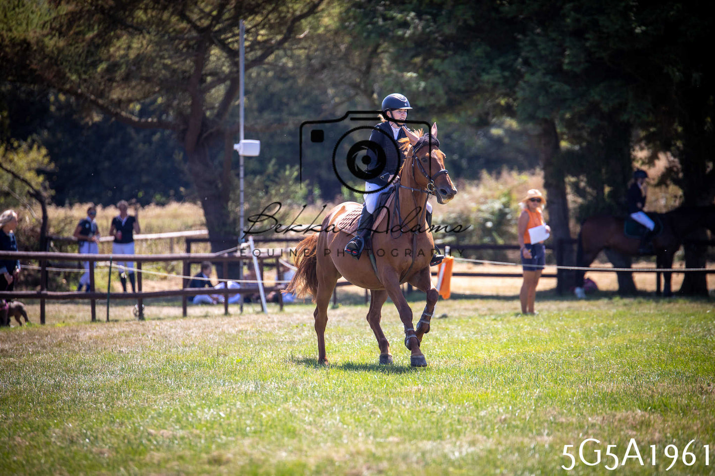 St Lawrence Charity Horse Show - Sunday pt2