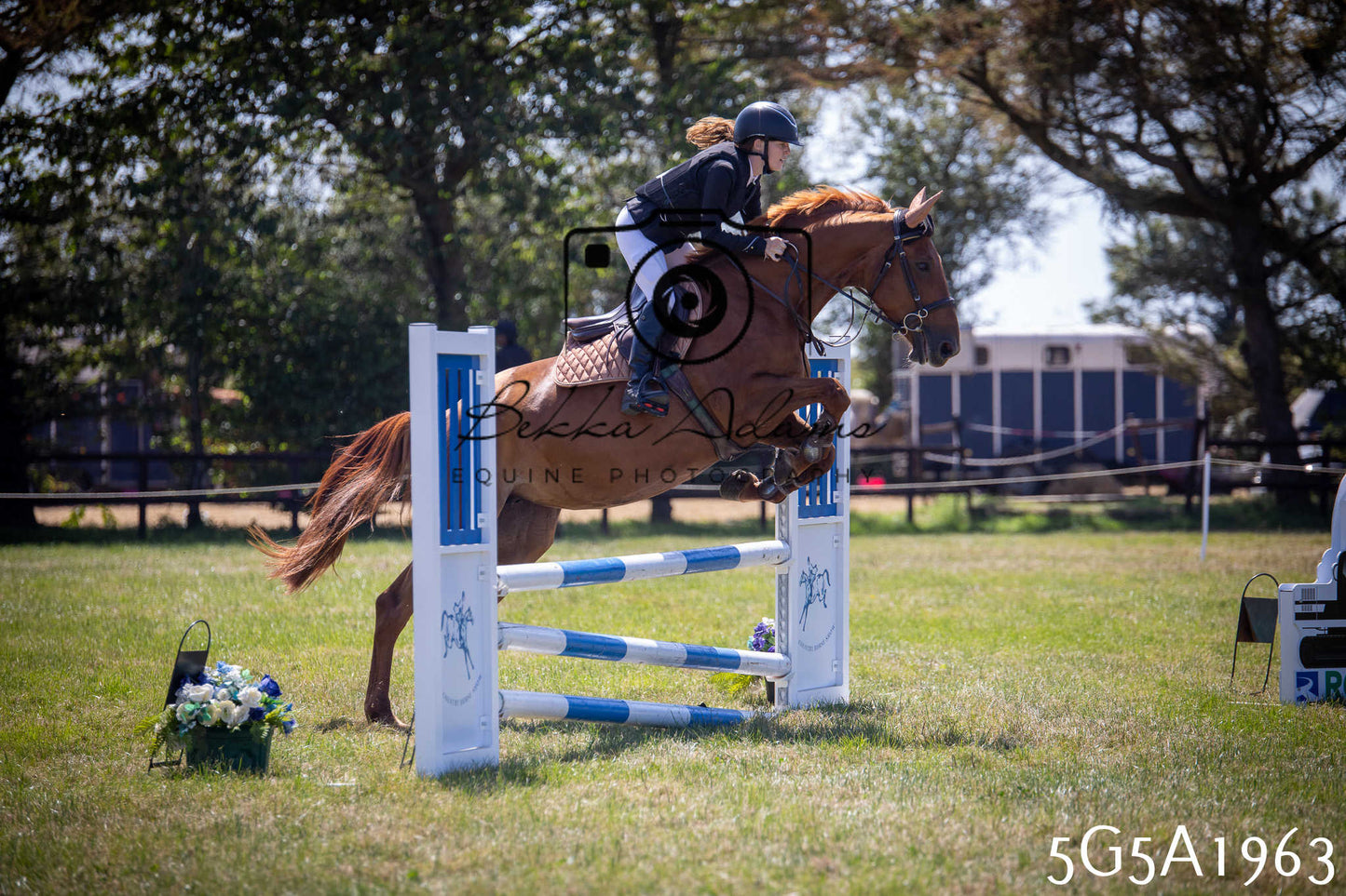 St Lawrence Charity Horse Show - Sunday pt2