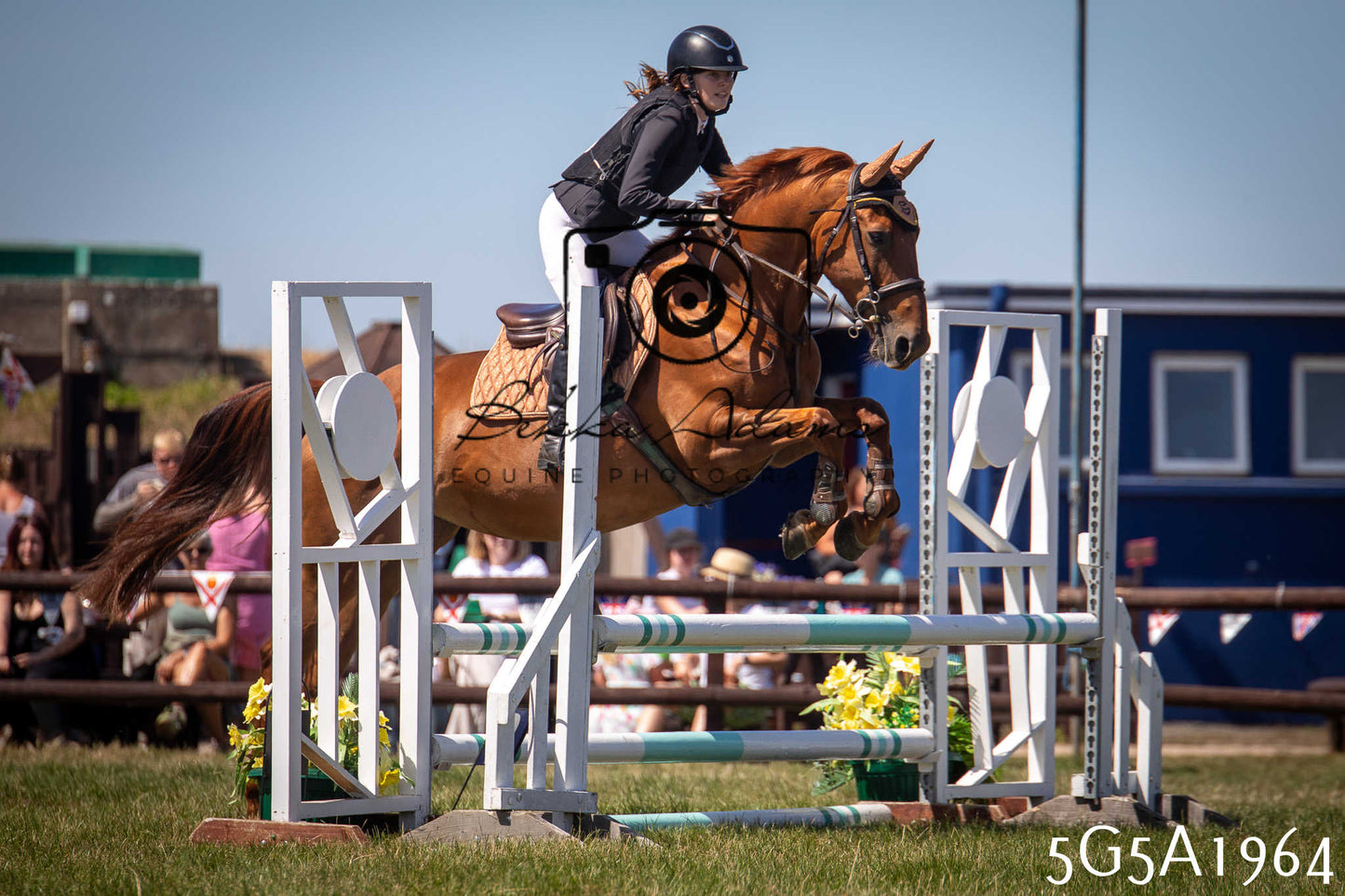 St Lawrence Charity Horse Show - Sunday pt2