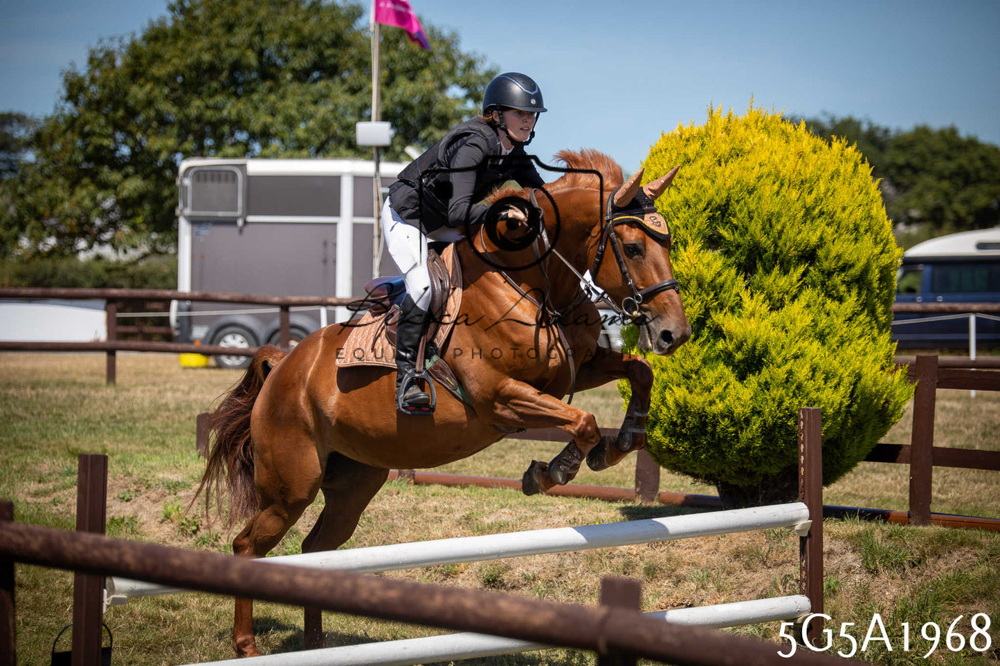 St Lawrence Charity Horse Show - Sunday pt2