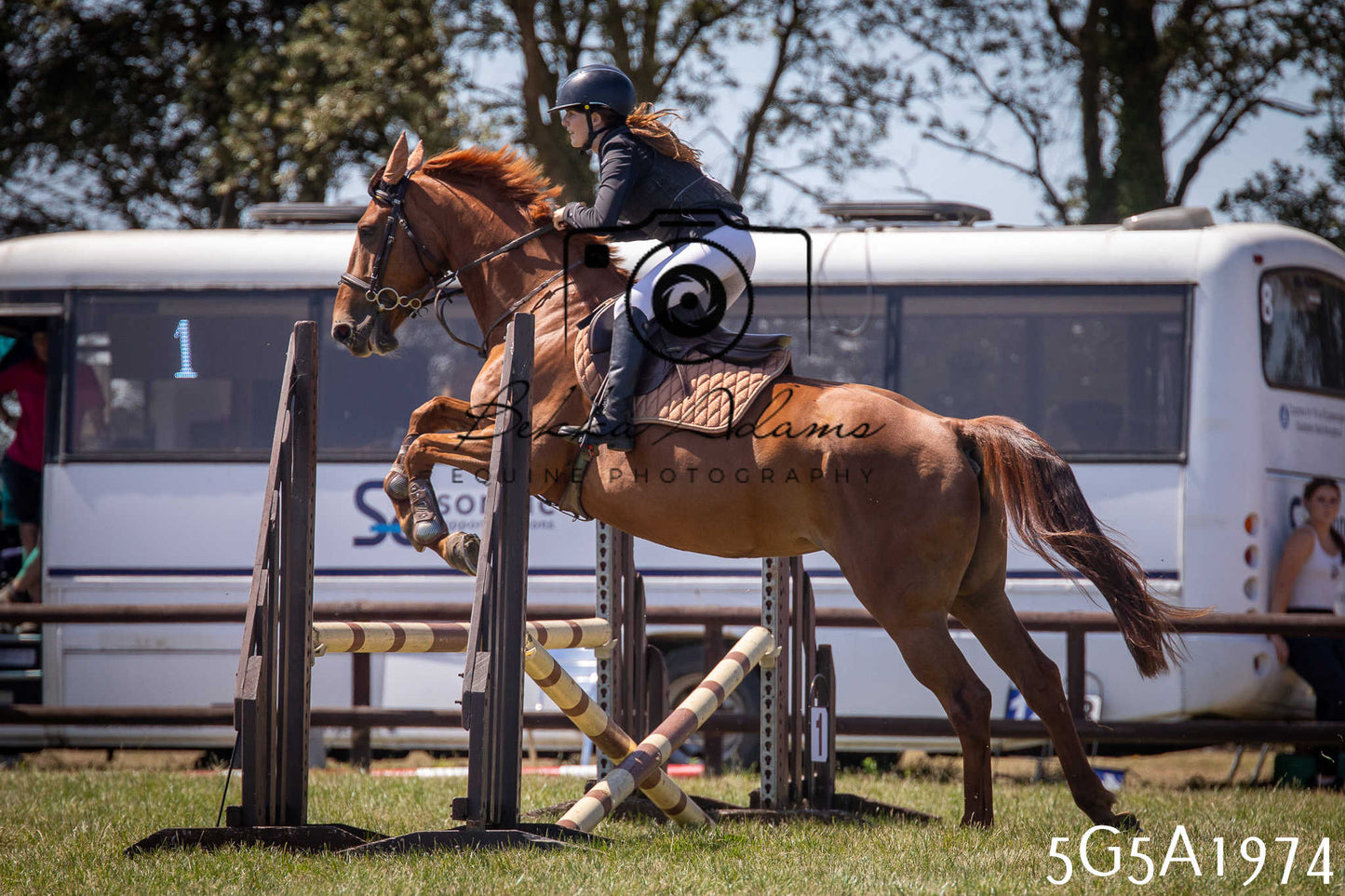 St Lawrence Charity Horse Show - Sunday pt2