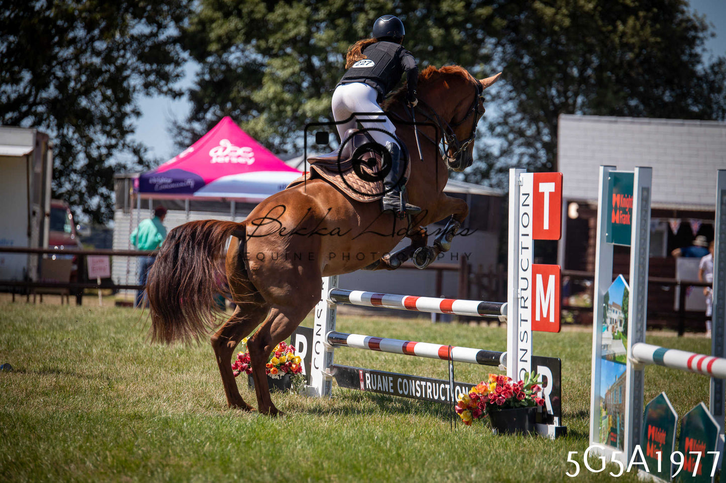 St Lawrence Charity Horse Show - Sunday pt2