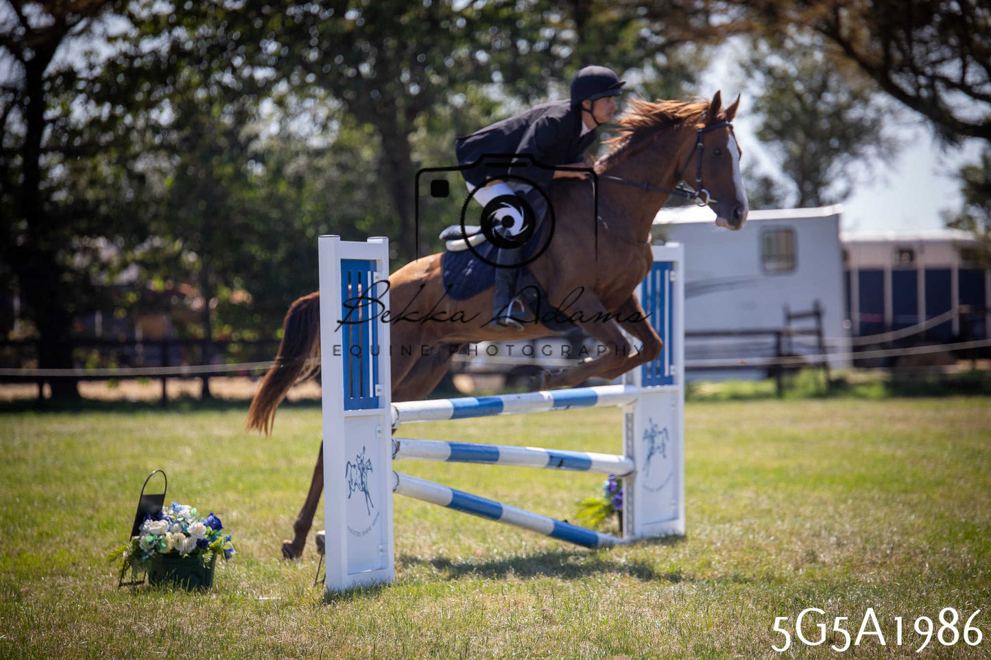 St Lawrence Charity Horse Show - Sunday pt2