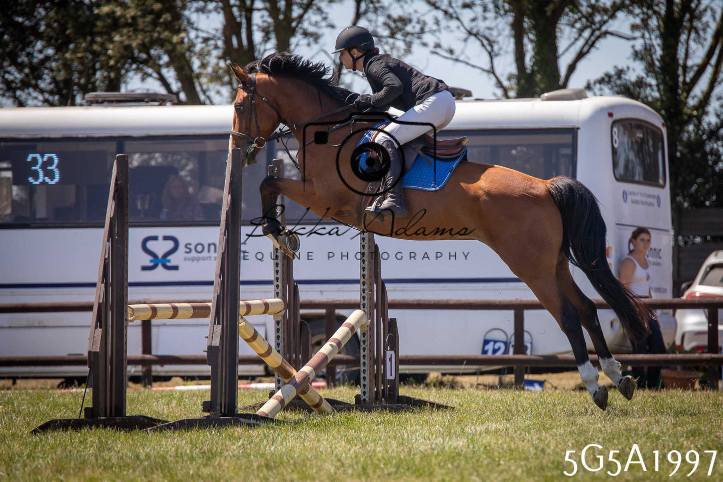 St Lawrence Charity Horse Show - Sunday pt2