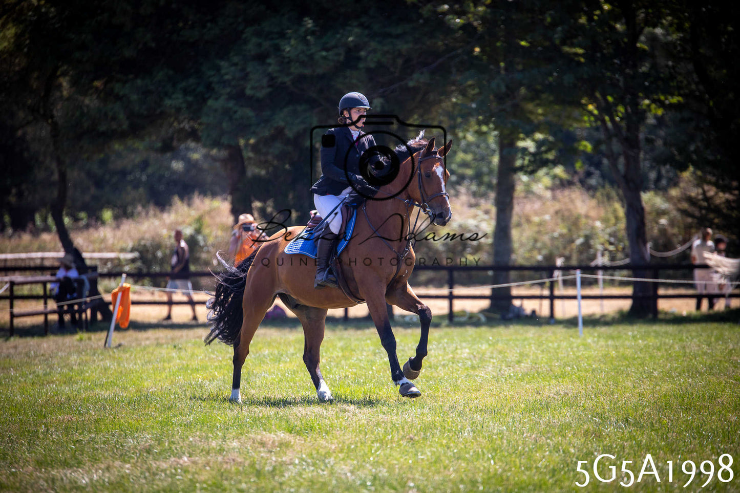 St Lawrence Charity Horse Show - Sunday pt2