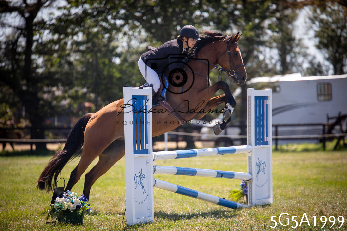 St Lawrence Charity Horse Show - Sunday pt2
