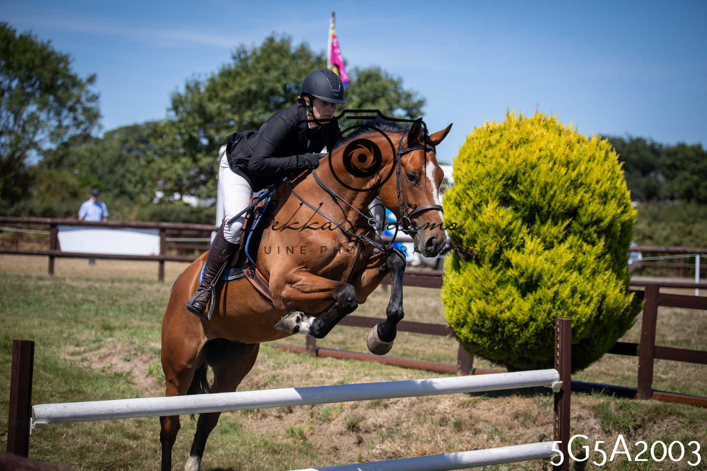 St Lawrence Charity Horse Show - Sunday pt2