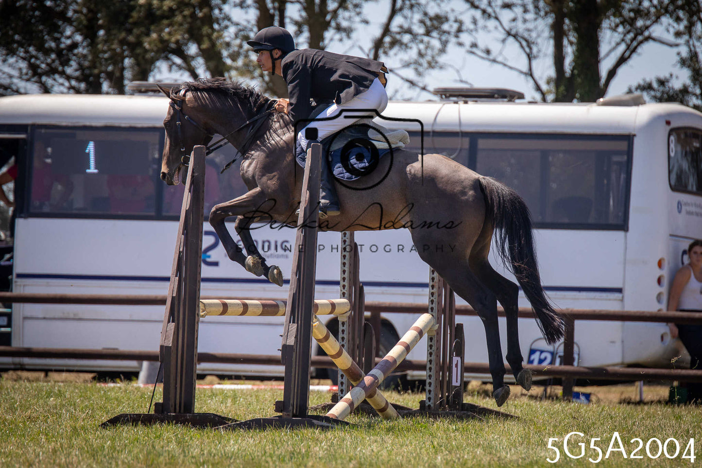 St Lawrence Charity Horse Show - Sunday pt2