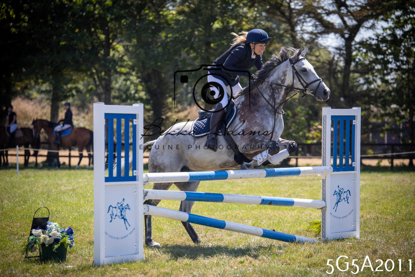 St Lawrence Charity Horse Show - Sunday pt2