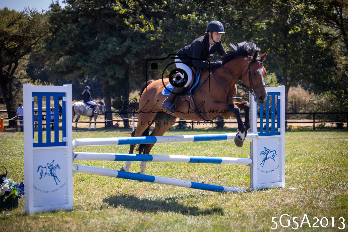St Lawrence Charity Horse Show - Sunday pt2
