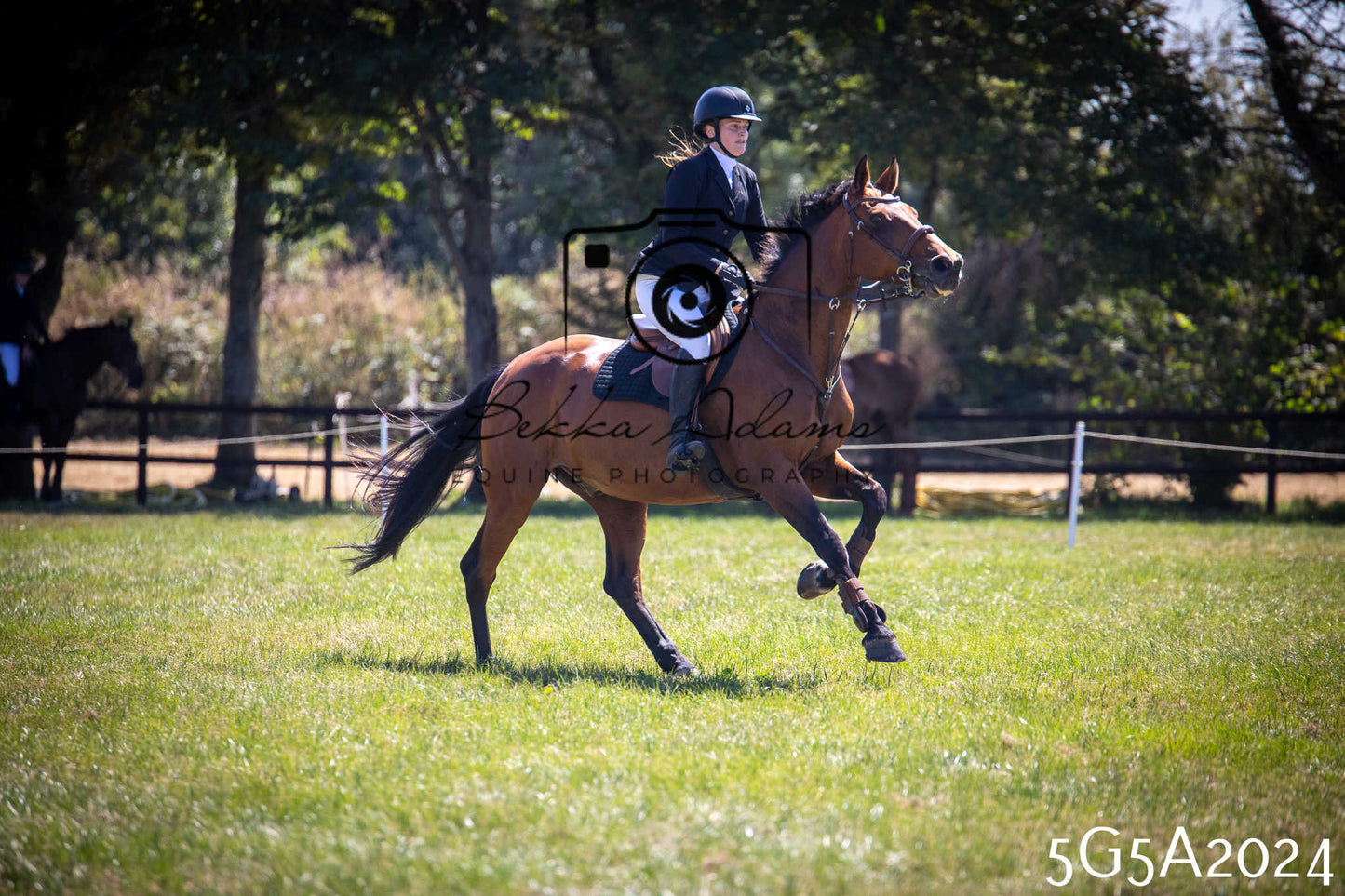 St Lawrence Charity Horse Show - Sunday pt2