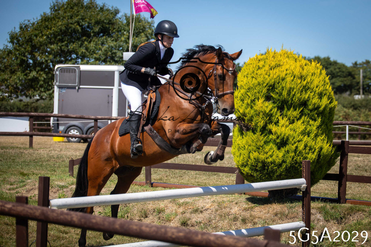 St Lawrence Charity Horse Show - Sunday pt2