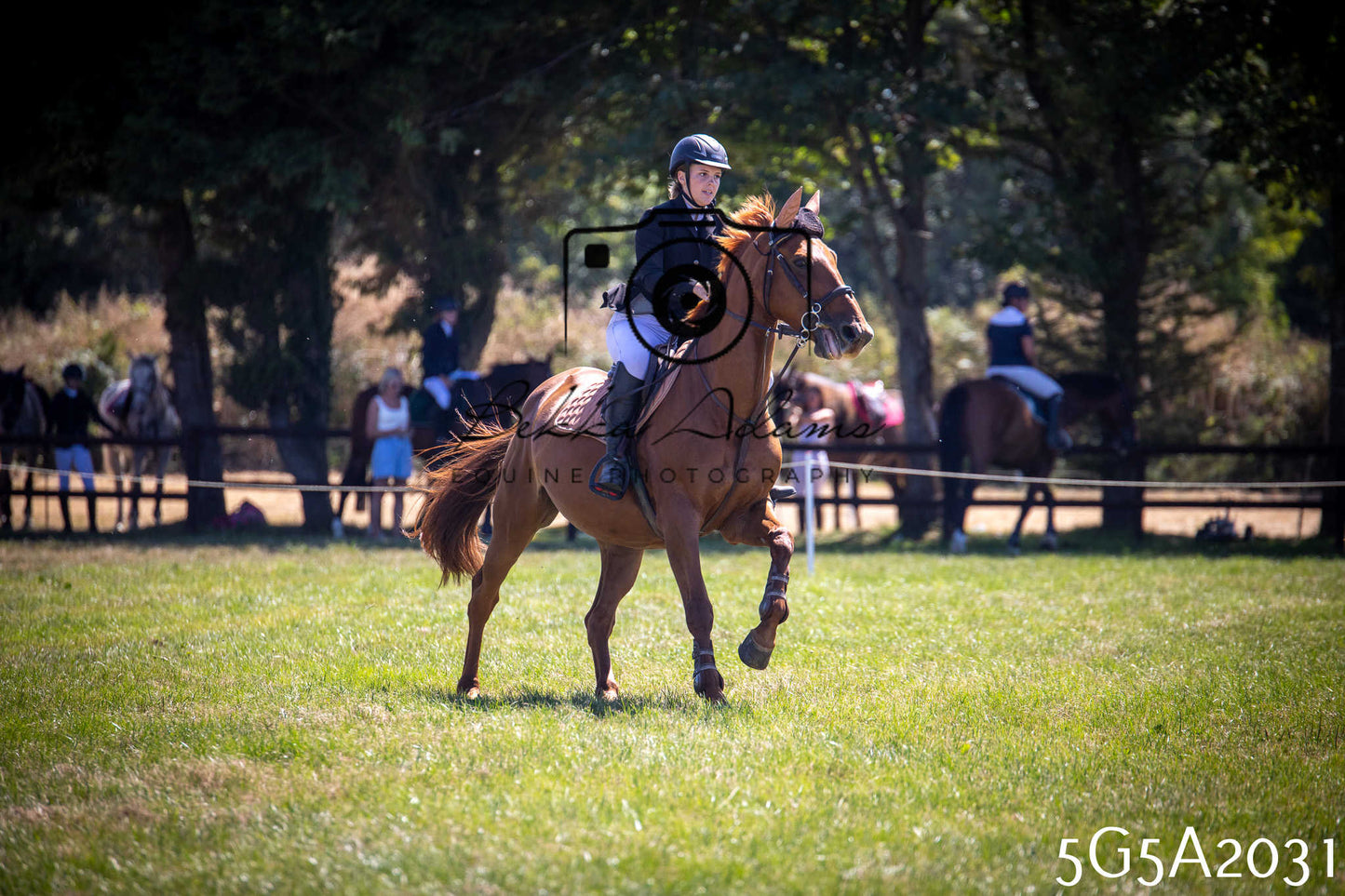 St Lawrence Charity Horse Show - Sunday pt2