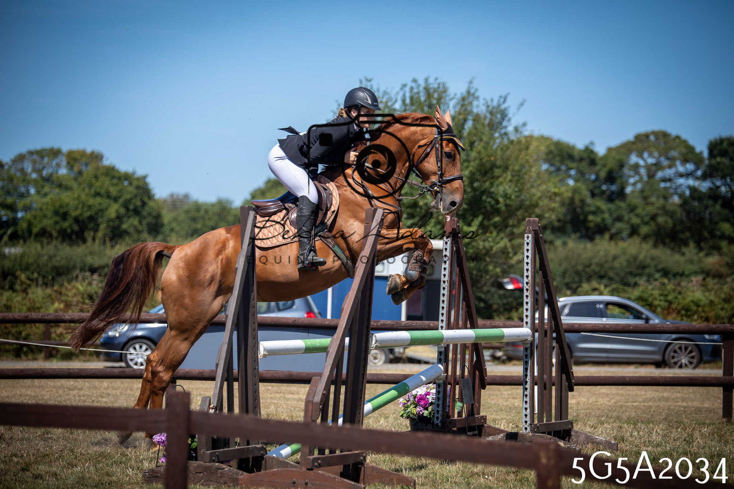 St Lawrence Charity Horse Show - Sunday pt2