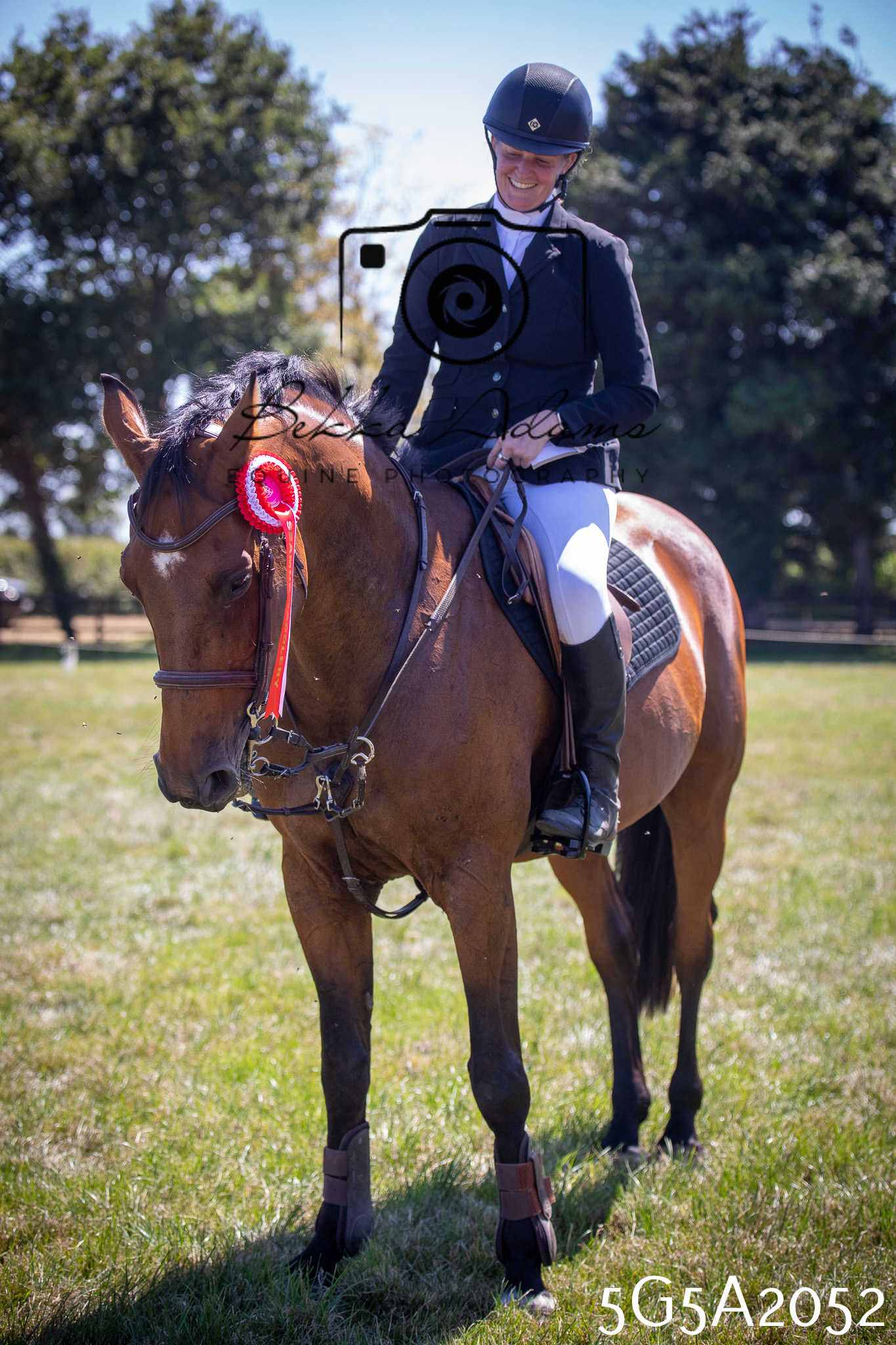 St Lawrence Charity Horse Show - Sunday pt2