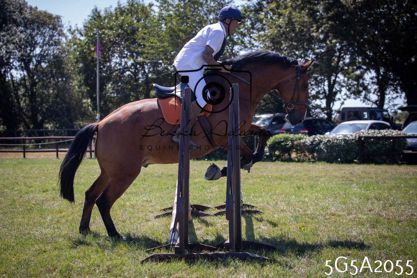 St Lawrence Charity Horse Show - Sunday pt2
