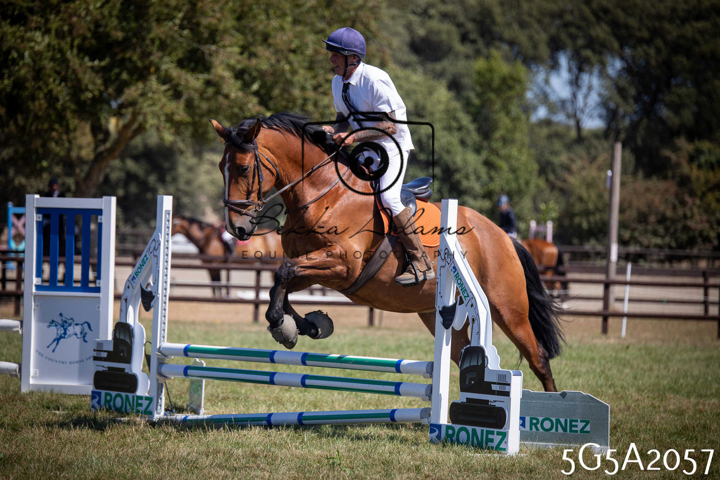St Lawrence Charity Horse Show - Sunday pt2