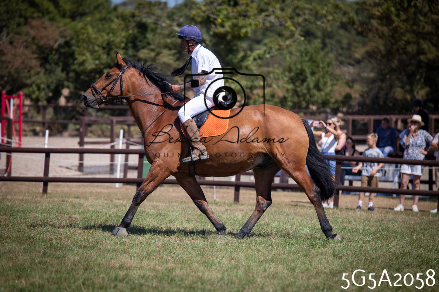 St Lawrence Charity Horse Show - Sunday pt2