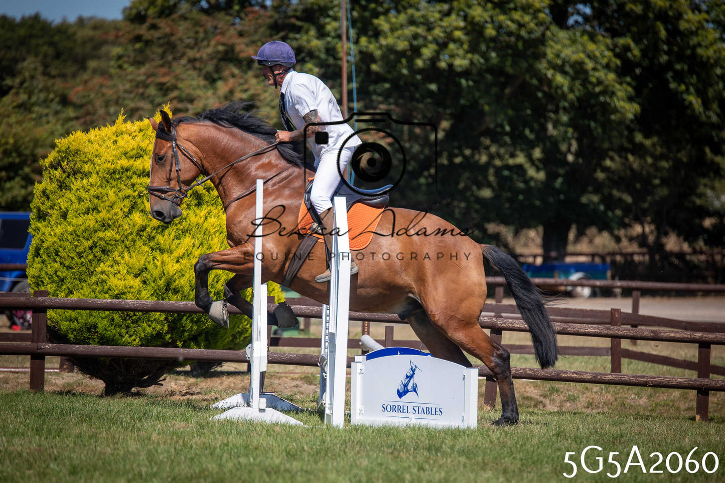 St Lawrence Charity Horse Show - Sunday pt2