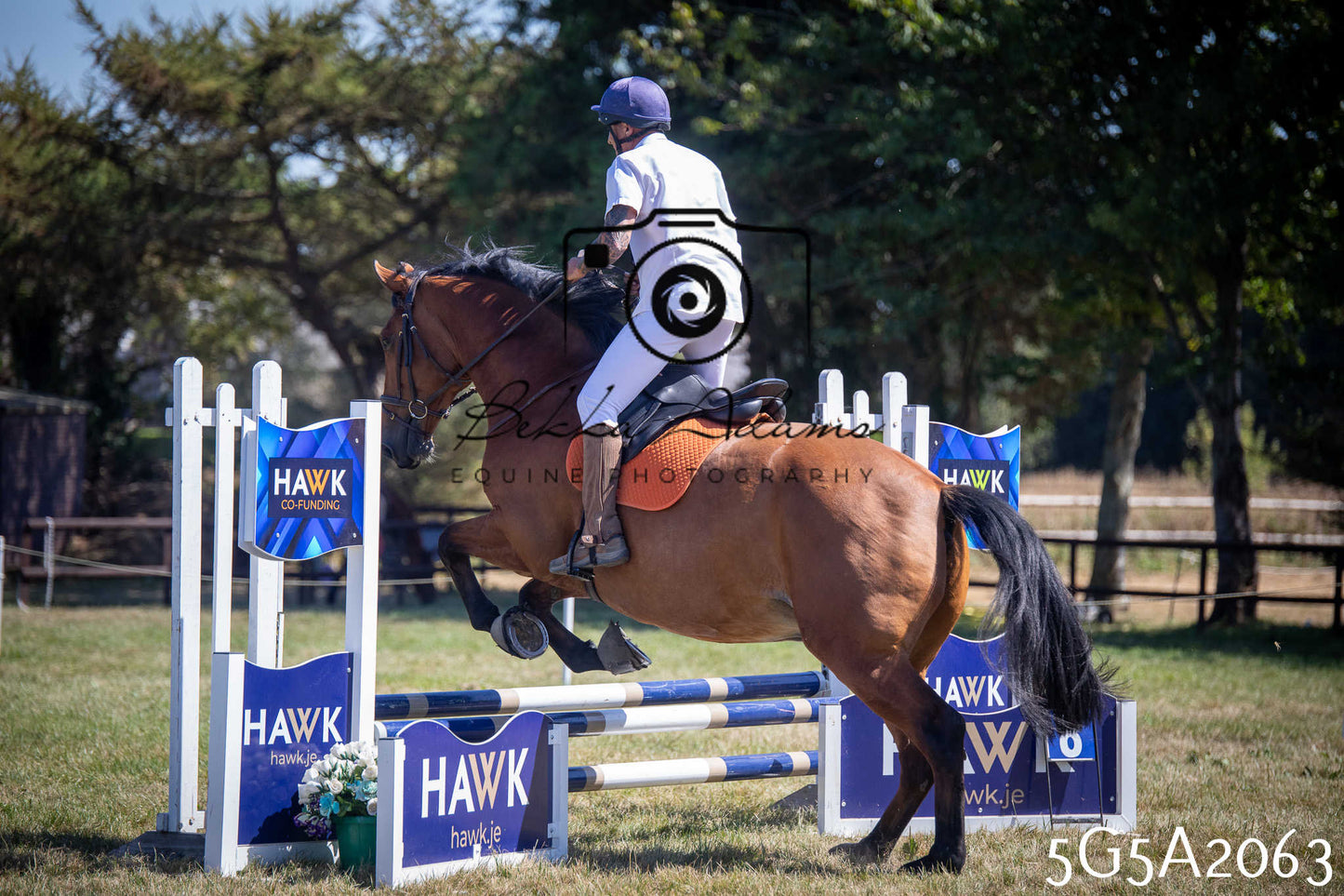 St Lawrence Charity Horse Show - Sunday pt2