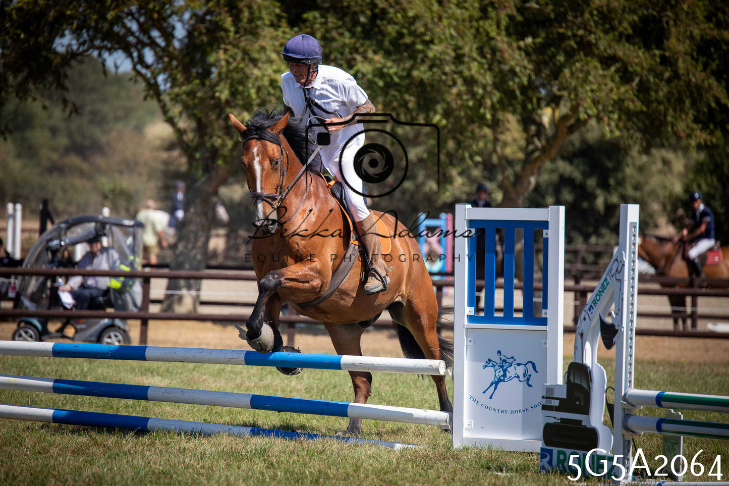 St Lawrence Charity Horse Show - Sunday pt2
