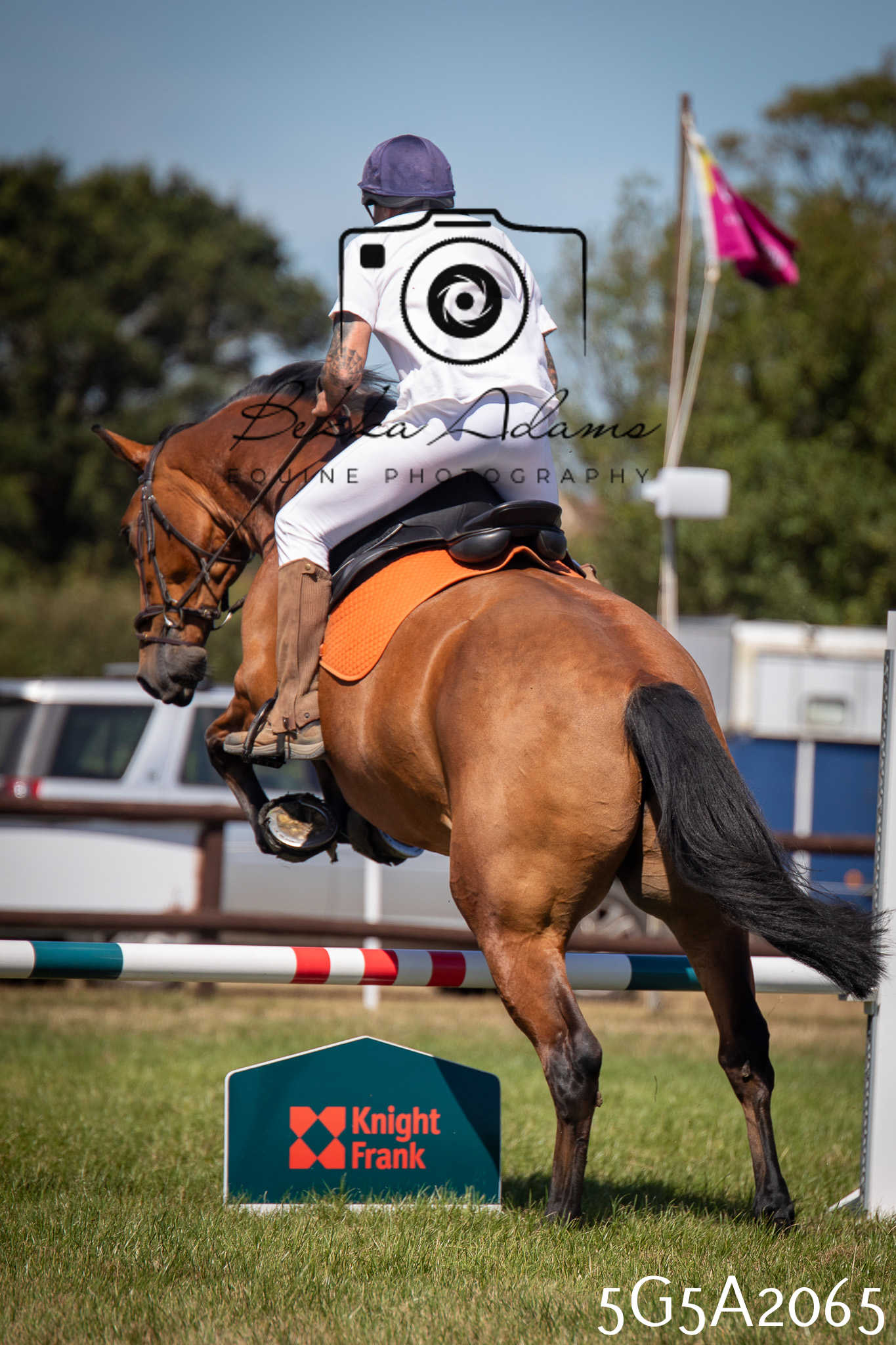 St Lawrence Charity Horse Show - Sunday pt2