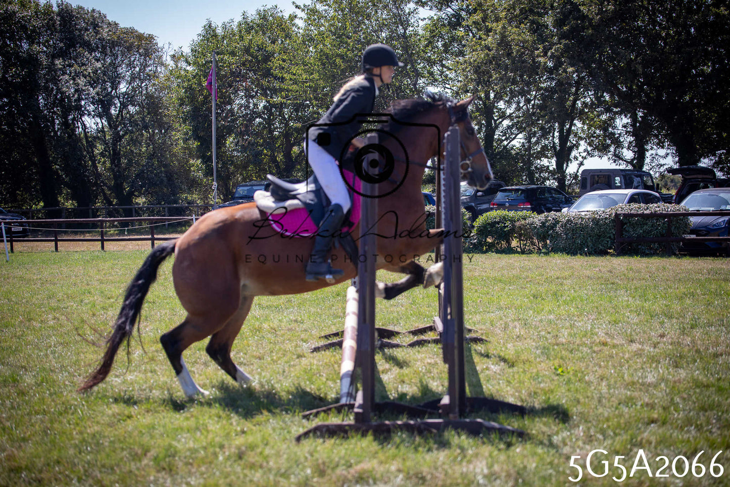 St Lawrence Charity Horse Show - Sunday pt2