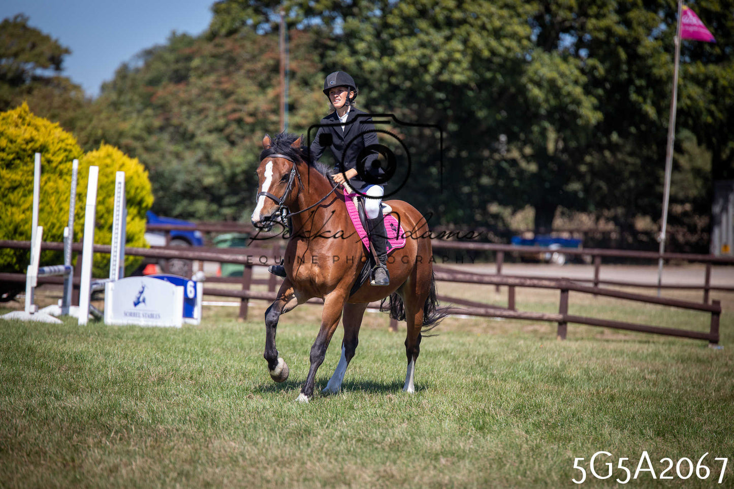 St Lawrence Charity Horse Show - Sunday pt2