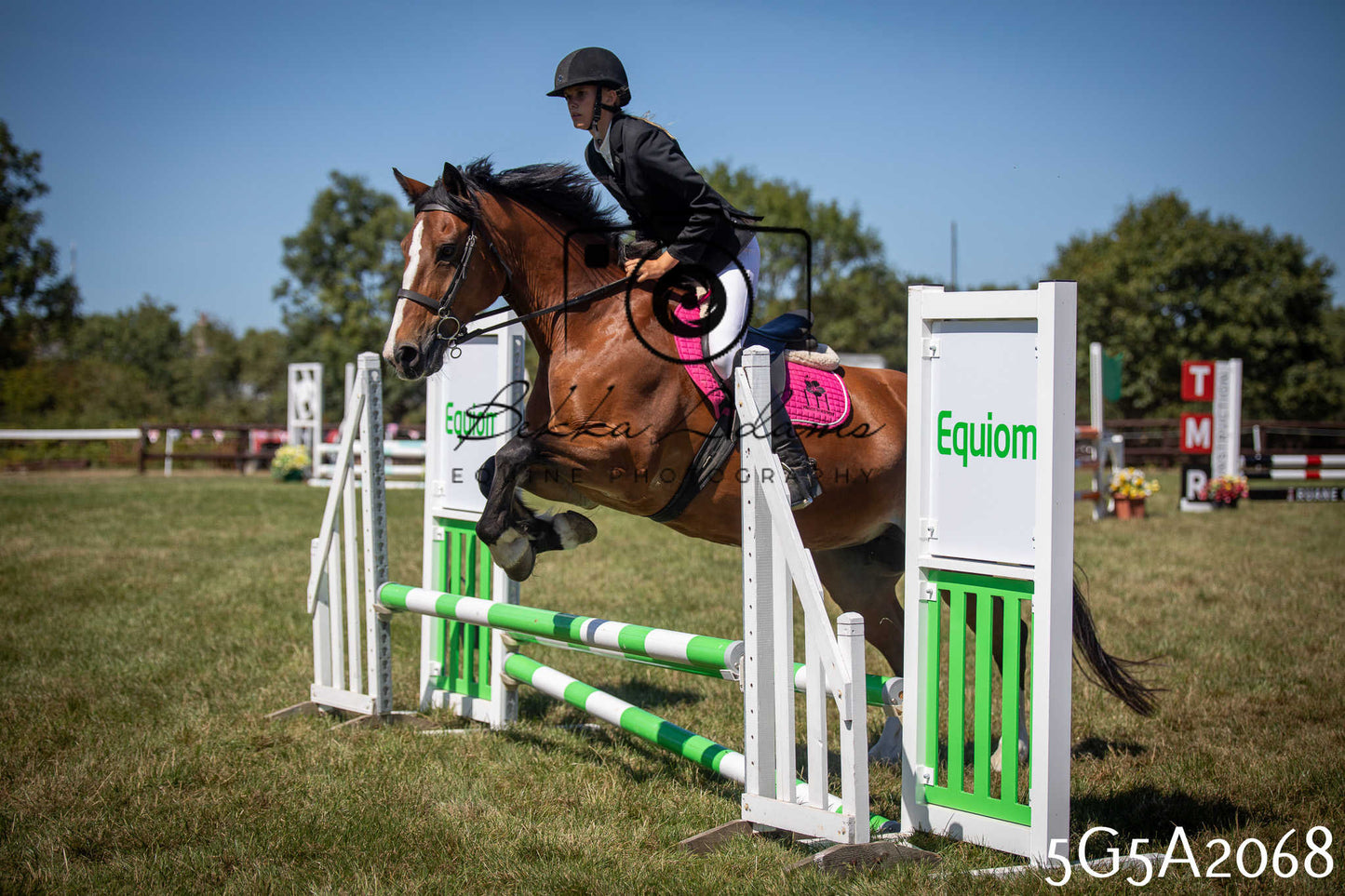 St Lawrence Charity Horse Show - Sunday pt2