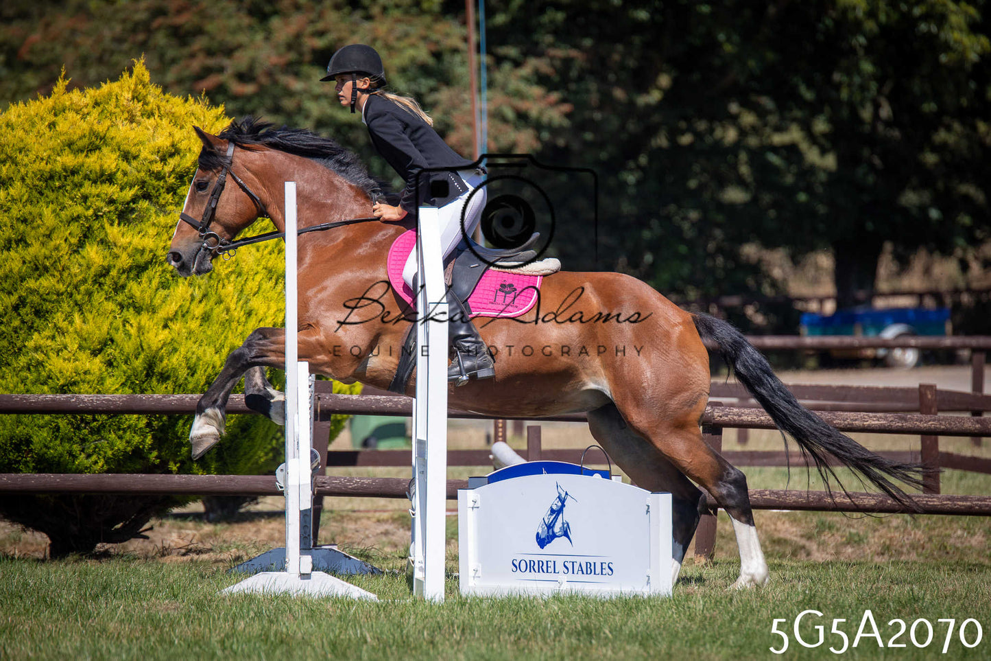 St Lawrence Charity Horse Show - Sunday pt2