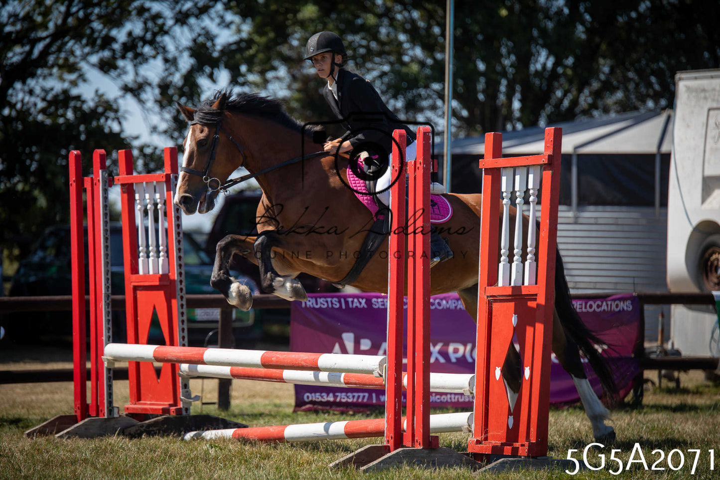 St Lawrence Charity Horse Show - Sunday pt2