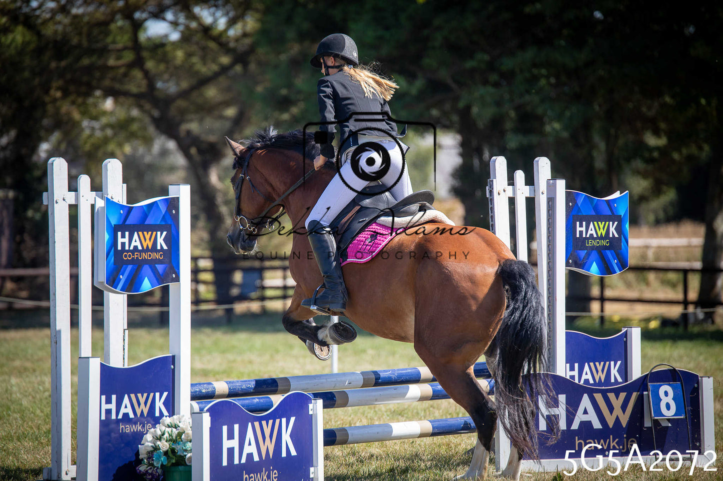 St Lawrence Charity Horse Show - Sunday pt2