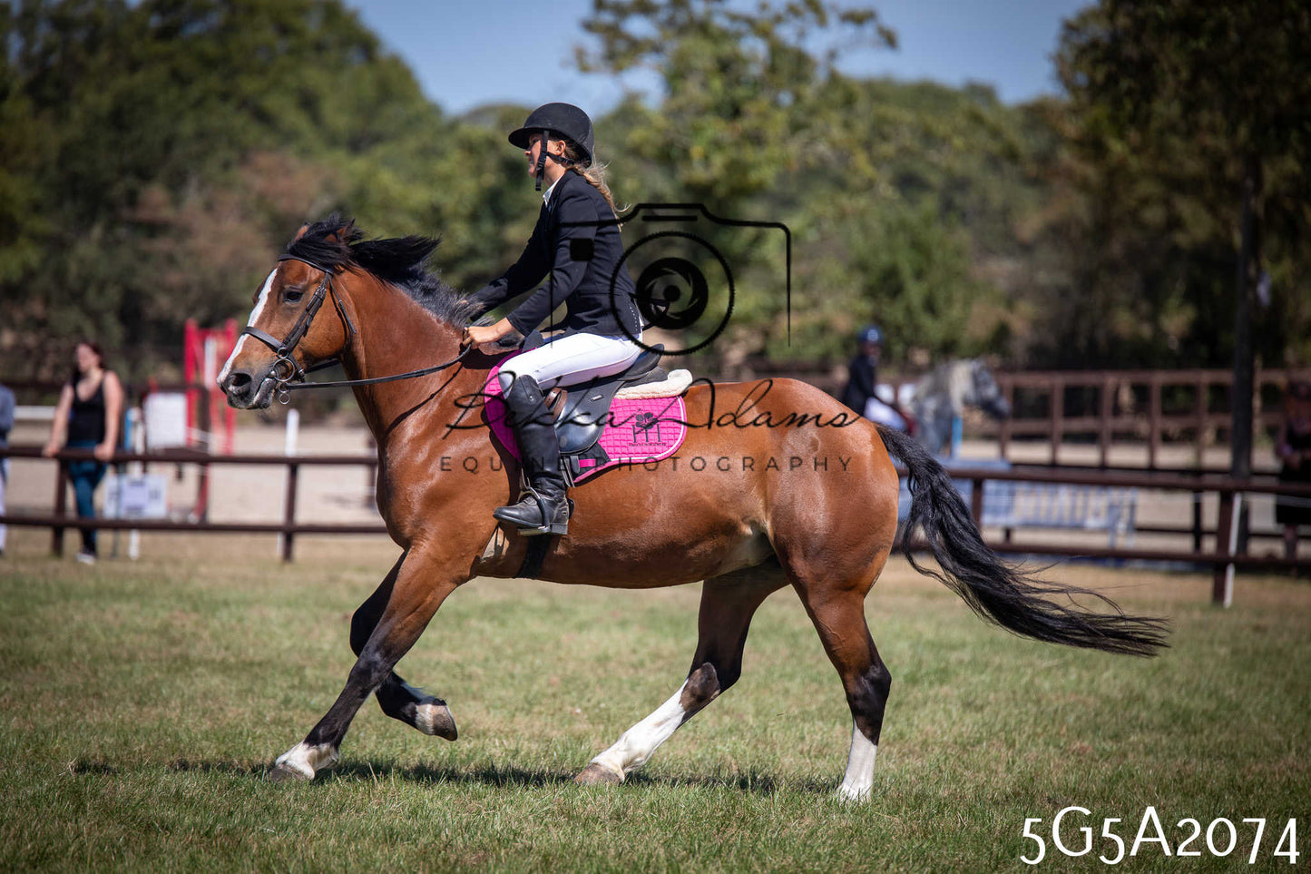 St Lawrence Charity Horse Show - Sunday pt2