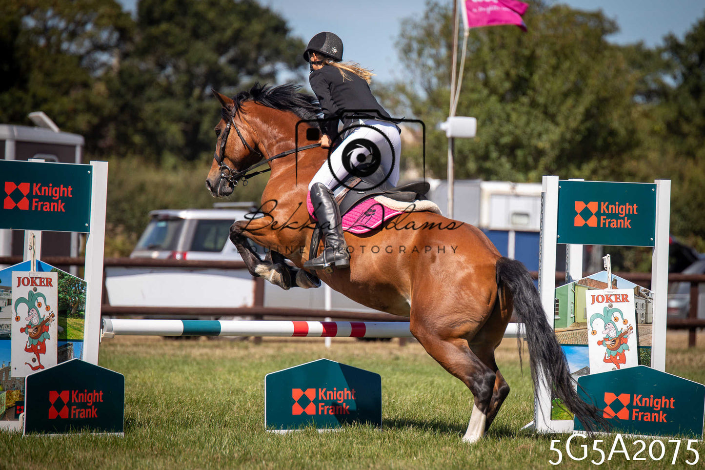 St Lawrence Charity Horse Show - Sunday pt2