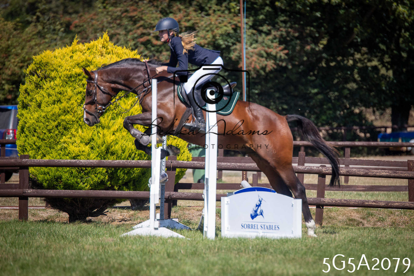 St Lawrence Charity Horse Show - Sunday pt2