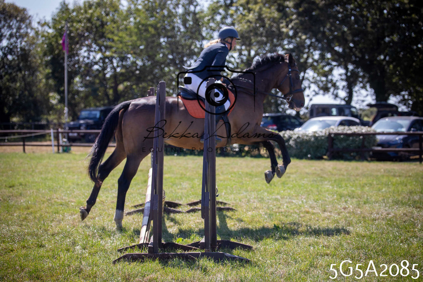 St Lawrence Charity Horse Show - Sunday pt2