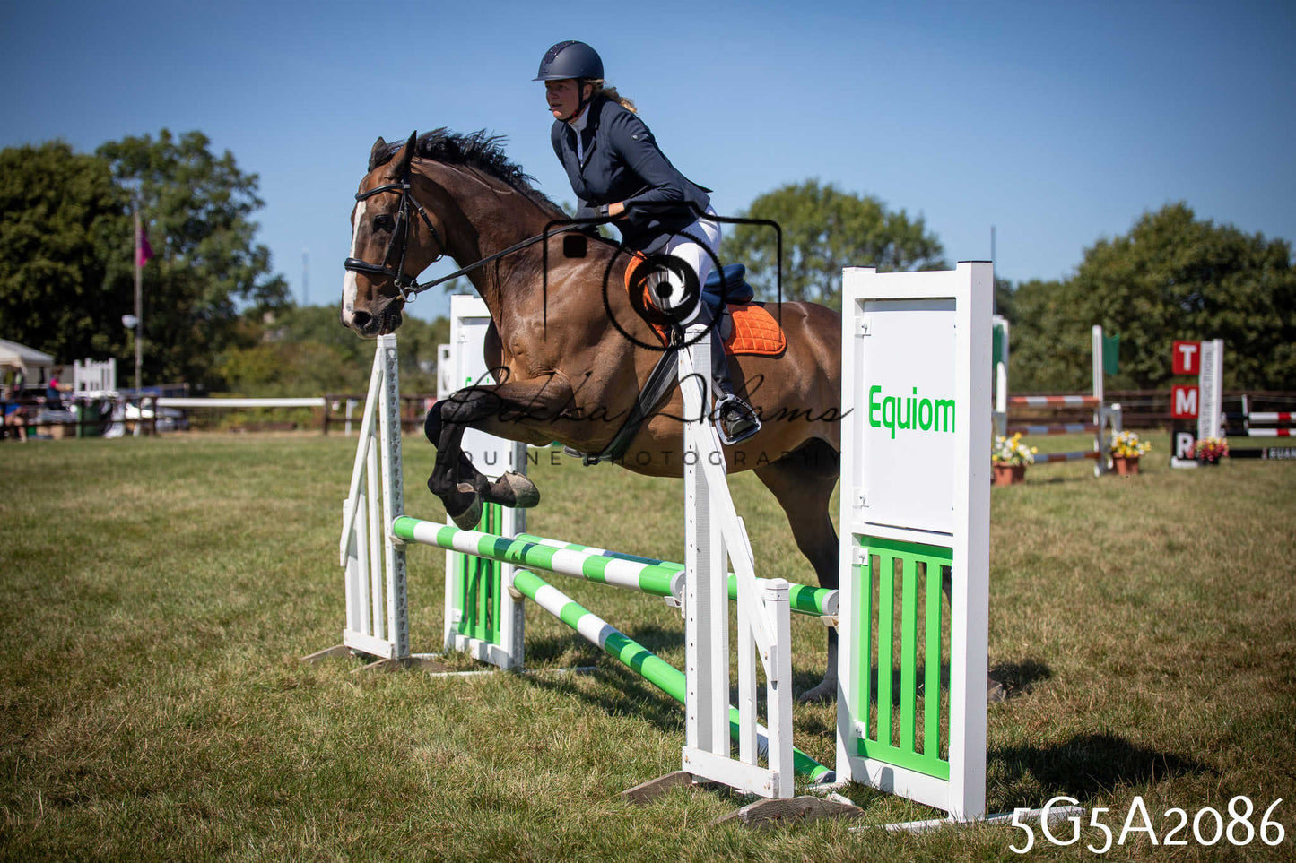 St Lawrence Charity Horse Show - Sunday pt2