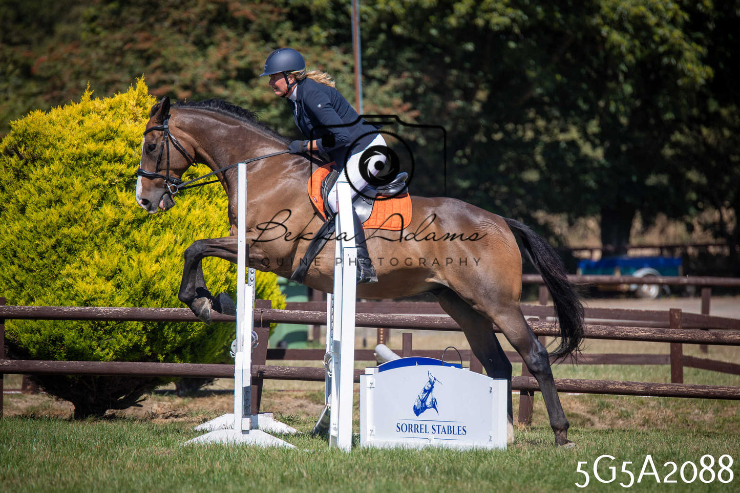 St Lawrence Charity Horse Show - Sunday pt2