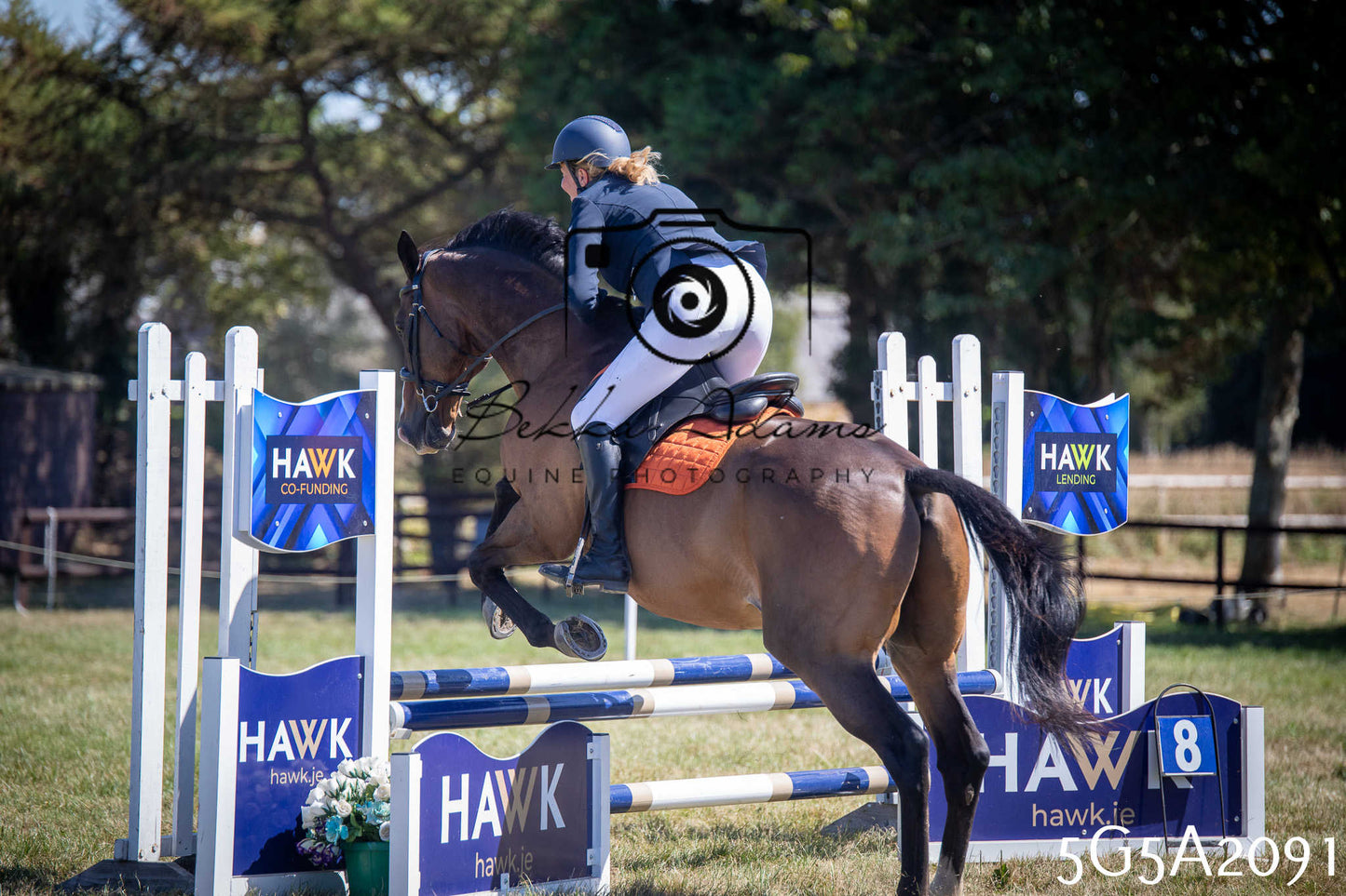 St Lawrence Charity Horse Show - Sunday pt2
