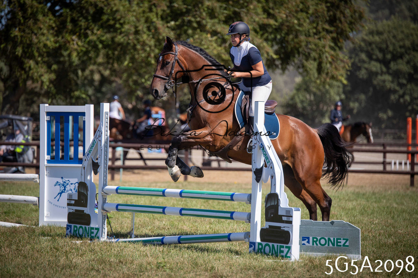 St Lawrence Charity Horse Show - Sunday pt2